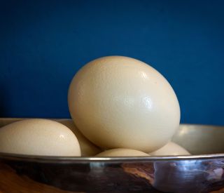 The Claremont Cameos 64