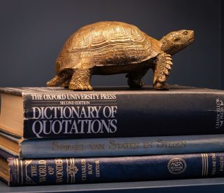 The Claremont Cameos 46