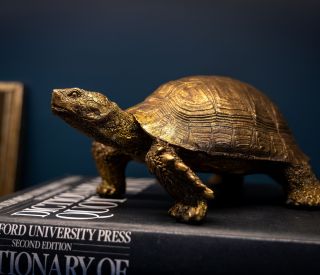 The Claremont Cameos 48