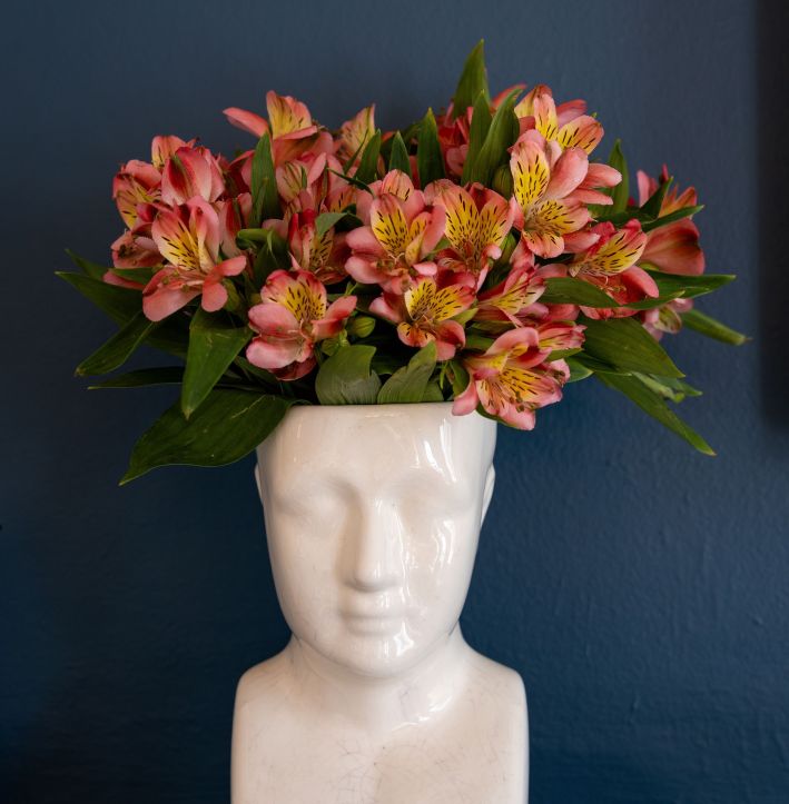 The Claremont Cameos 56